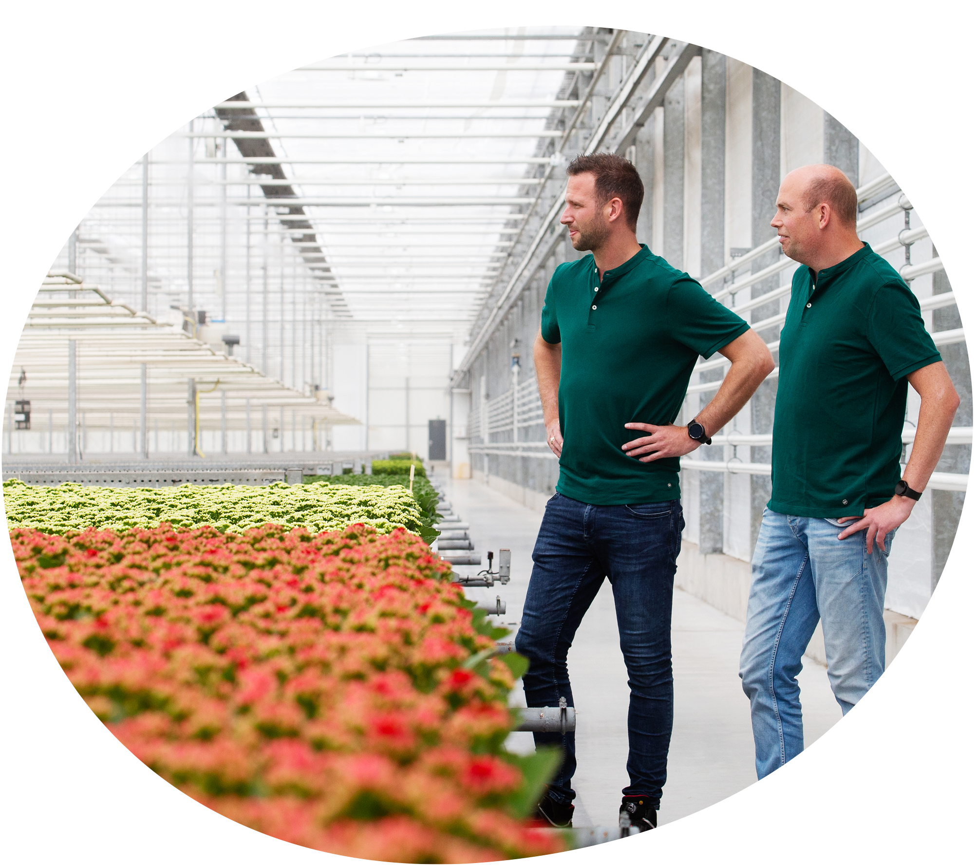 De locatiemanager van de Herenwerf zorgt met zijn team voor plant excellence.